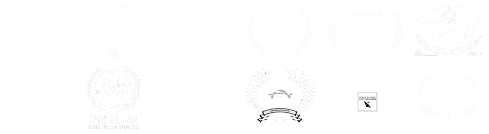 Any Day (Cualquier Día) official festival laurels — 4 wins, 3 nominations, 12 international selections